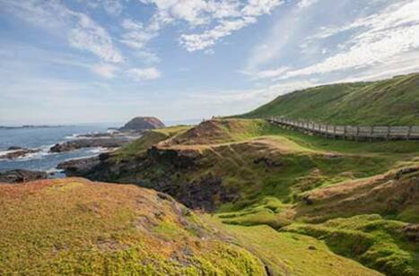 A local guide to Phillip Island | ROL Cruise Blog