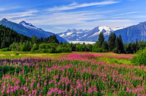 Juneau, Alaska in springtime