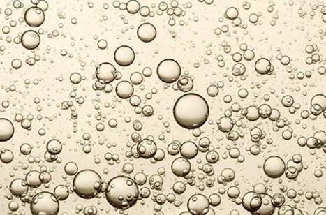 ROL shortlisted as Top Ocean Cruise Agency | ROL Cruise