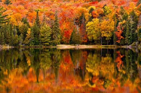 Canada in the fall: The best places to visit | ROL Cruise Blog
