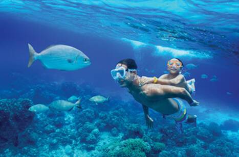 14 things you can learn on a cruise ship | ROL Cruise Blog