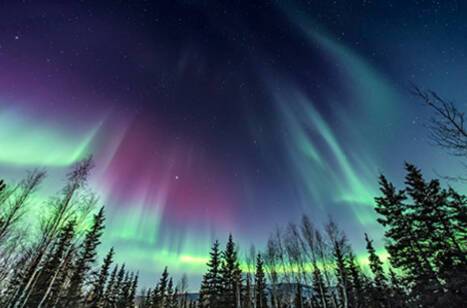 Different types of cruises