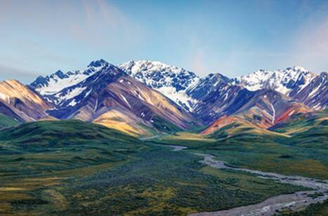 The ultimate Alaskan food festival guide | ROL Cruise