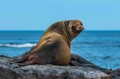 Staff stories: the trip of a lifetime | ROL Cruise Blog