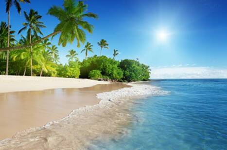 The inaugural ROL Cruise survey | ROL Cruise Blog