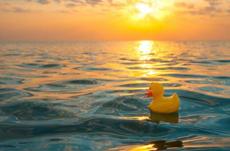 Weirdest things found in the ocean | ROL Cruise Blog