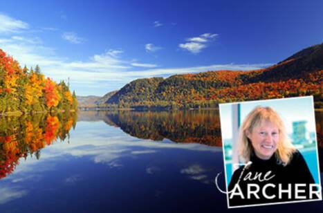 Jane Archer: Solo so good | ROL Cruise Blog