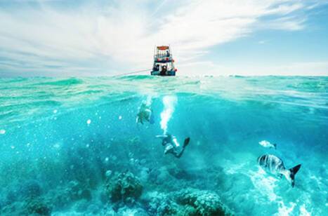 Caribbean diving spots