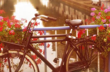 The best destinations to explore by bike | ROL Cruise Blog