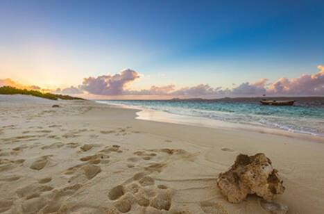 Top things to do in Bonaire, Caribbean | ROL Cruise Blog