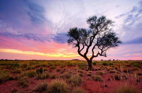 Seven Worlds, One Planet: Australia | ROL Cruise Blog