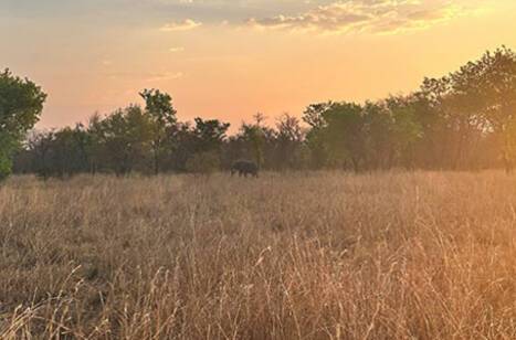 Staff stories: An African adventure | ROL Cruise Blog