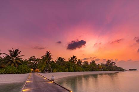 Best cruise lines for couples cruises | ROL Cruise Blog