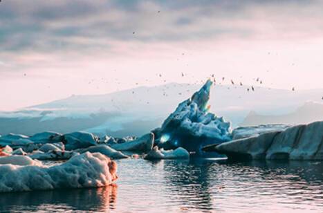 Meet the ROL Cruise Ambassadors: Dave & Jenny | ROL Cruise