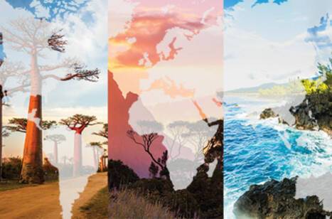 Wildlife on the Indian Ocean islands | ROL Cruise Blog