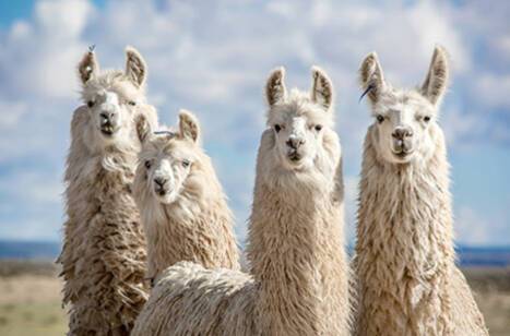 Top novels to read during your world cruise | ROL Cruise Blog