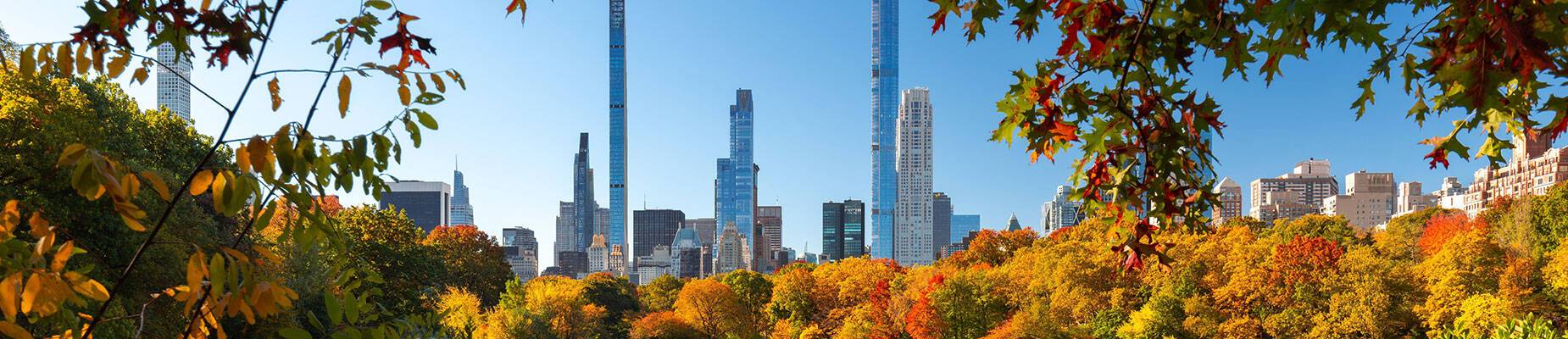 A view of New York’s skyline from Central Park