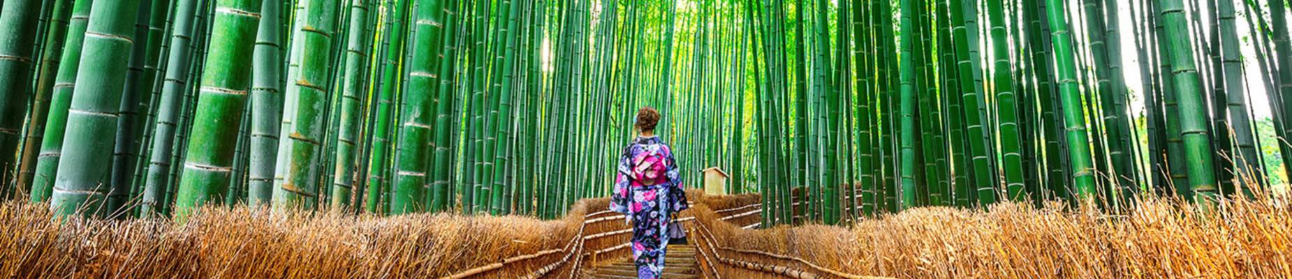 A woman walking through the Sagano Bamboo Forest
