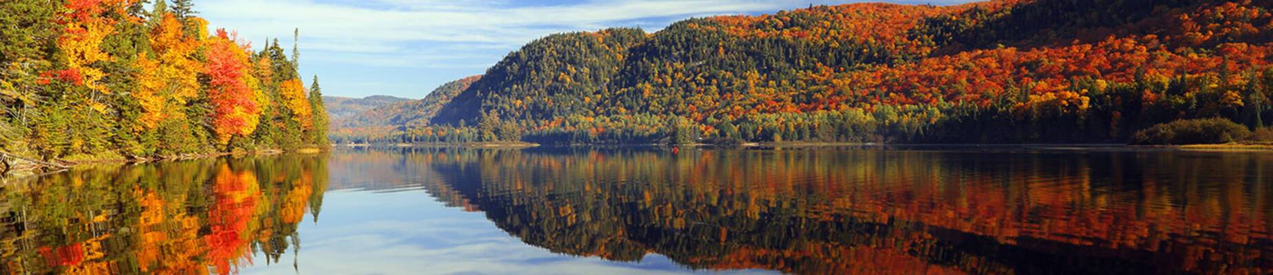 Autumn forest reflected in water