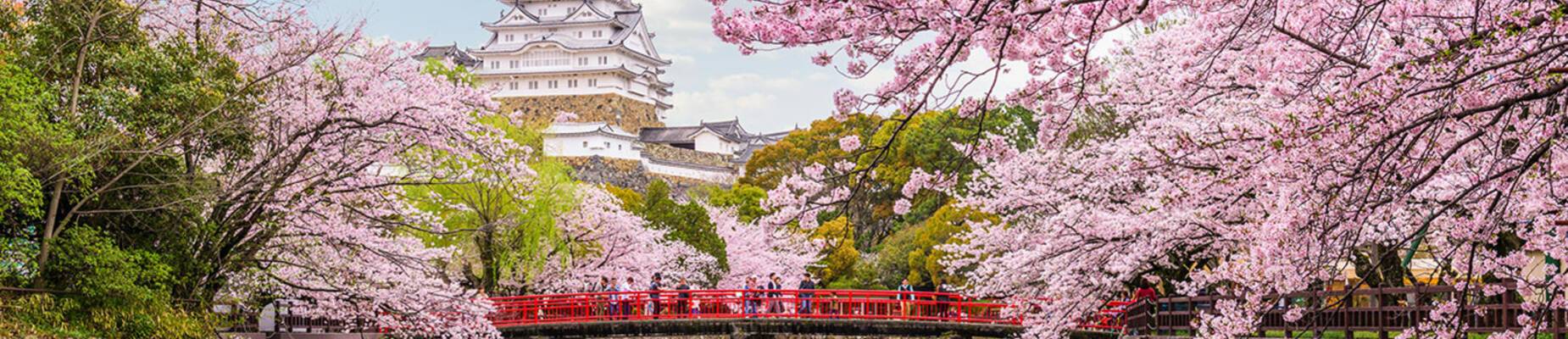Cruises to Japan