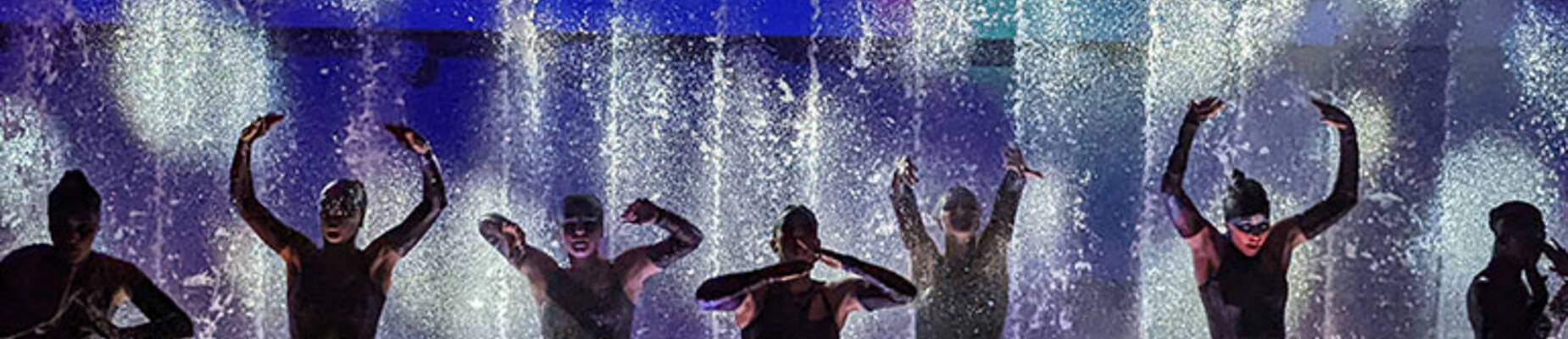 AquaTheater, Wonder of the Seas