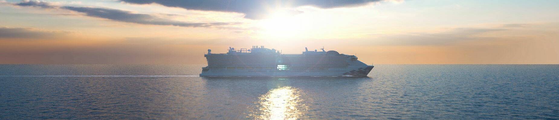 Sun Princess at sea