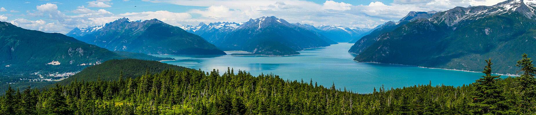 The Alaskan wilderness