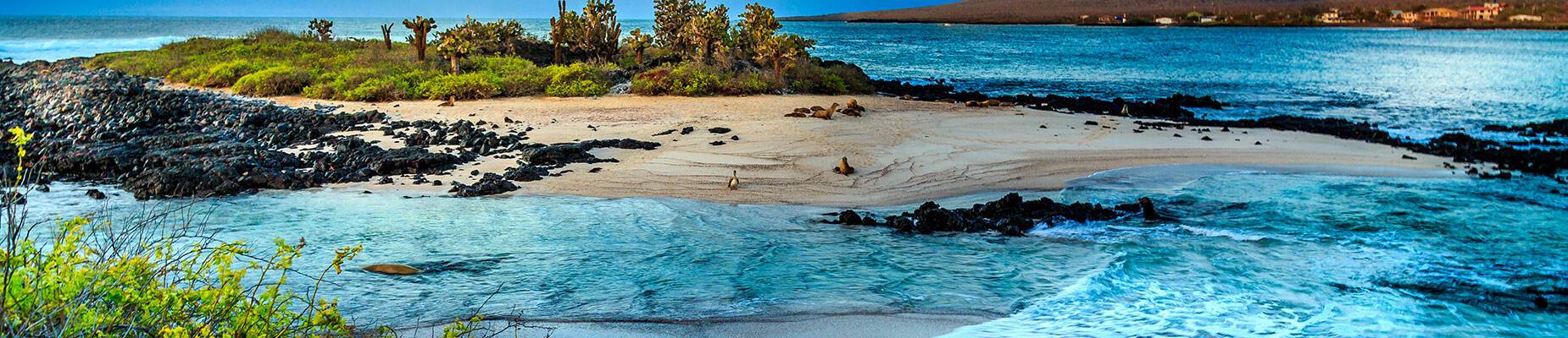 View of a Galapagos Island