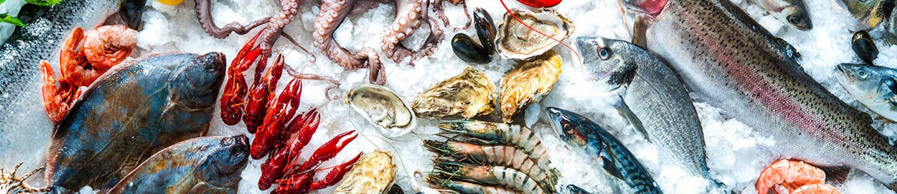 Best seafood around the world