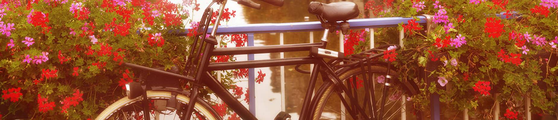 The best cities to explore by bike