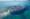 Here’s why you should cruise from London Tilbury | ROL Cruise Blog