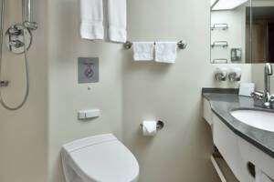 Interior Stateroom Bathroom, Nieuw Amsterdam