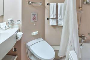 Verandah Stateroom Bathroom, Westerdam
