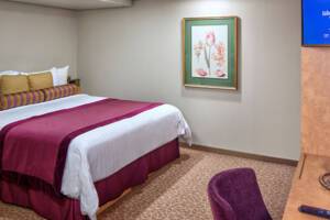 Large Interior Stateroom, Oosterdam