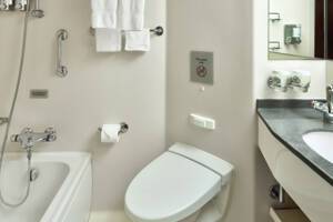 Verandah Stateroom Bathroom, Eurodam