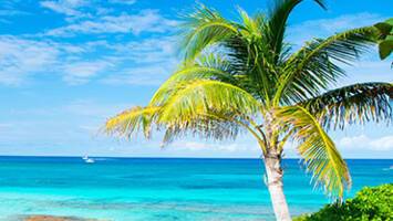 View Cruise8-Day Bahamas Round-Trip New York: Great Stirrup Cay, Orlando & NassauDeal