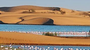 View CruiseWest Africa Cruise: Walvis Bay, St. Helena & SenegalDeal