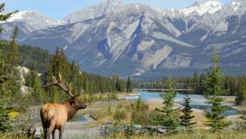 View CruiseExclusive 2027 Alaska & Inside Passage ExplorerDeal