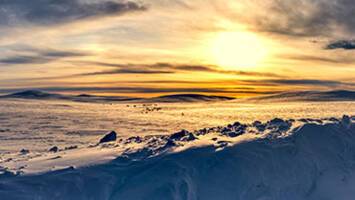 View Cruise2026 No-Fly Norway's Land of the Northern LightsDeal