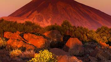 View Cruise2027 No-Fly Festive Canaries EscapeDeal