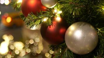 View CruiseNo-Fly 2026 Festive MarketsDeal