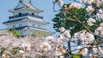 View CruiseBest of JapanDeal