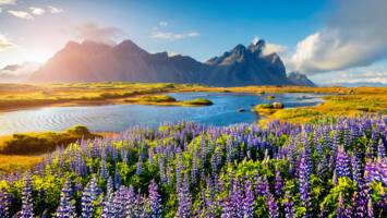 View Cruise2028 No-Fly Iceland - Whales, Waterfalls & GeysersDeal