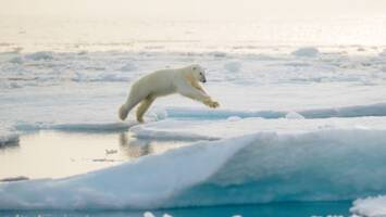 View Cruise2028 All-Inclusive Iconic Northwest Passage ExpeditionDeal