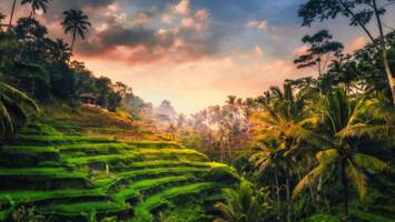 View CruiseExclusive 2029 All-Inclusive 5★ Australia & Bali AdventureDeal