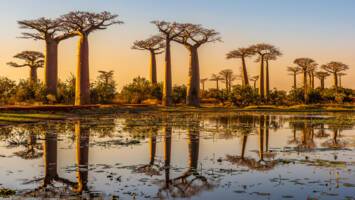 View Cruise6★ All-Inclusive 2028 Luxury Mauritius to Cape TownDeal