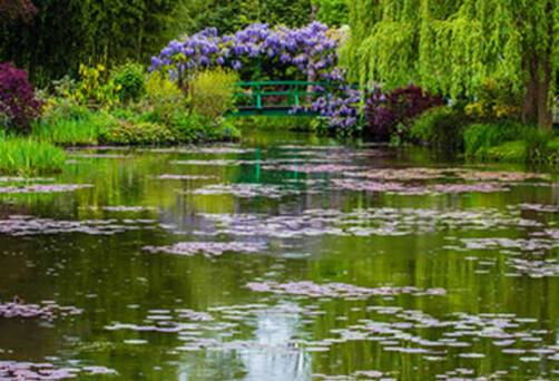 A garden in Giverny