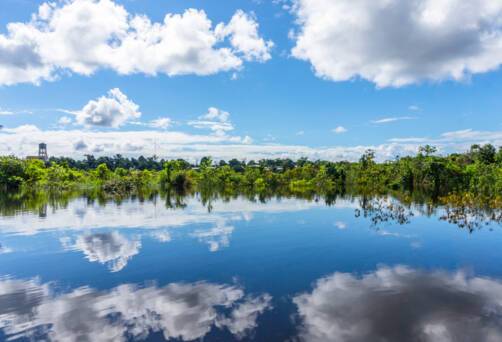 Iquitos (Natua), Peru