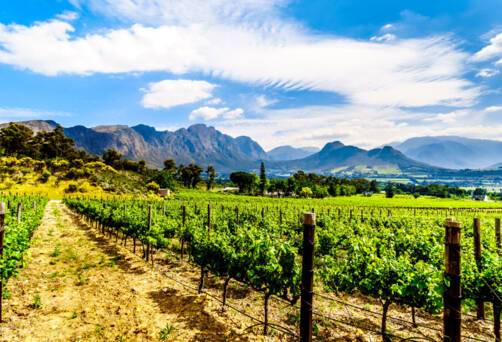 Cape Town