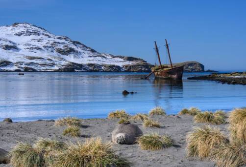 South Georgia Island